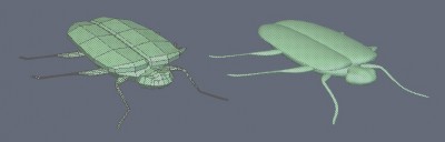 Insects_temp.jpg