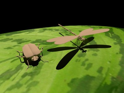 Insects_temp.jpg