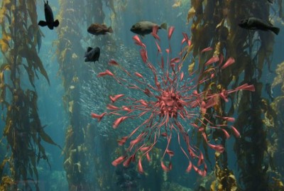 TubeSphere.jpg (156.5 KiB) Viewed 3742 times TubeSphere.jpg